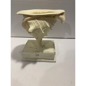 Conch Shell Votive Candle Holder, Coastal Living/ Beach Décor, Nautical, Shell